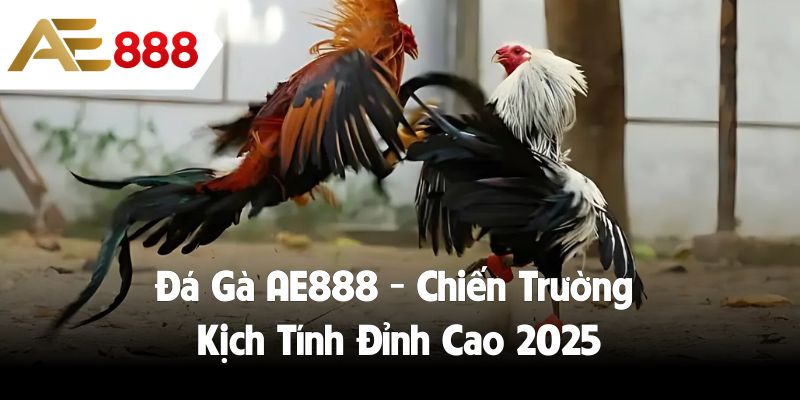 Đá Gà AE888 - Chiến Trường Kịch Tính Đỉnh Cao 2025