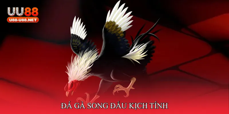 Đá gà song đấu kịch tính