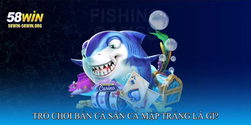 Trò Chơi Bắn Cá Săn Cá Mập Trắng Là Gì?