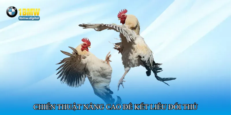 Chiến thuật nâng cao để kết liễu đối thủ