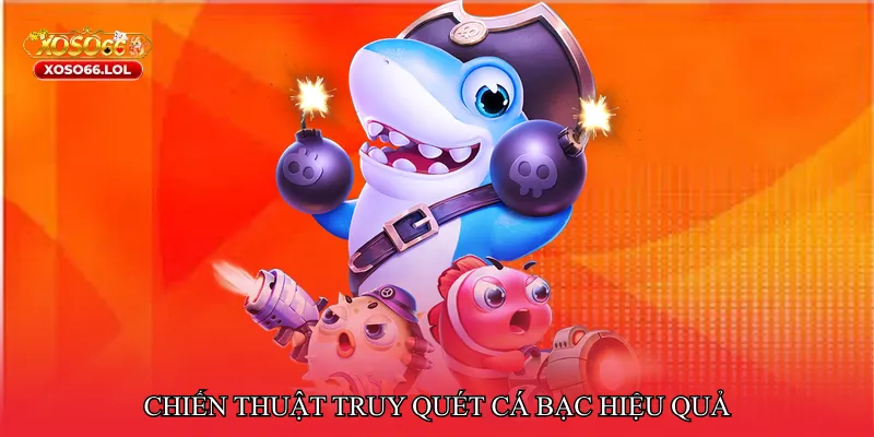 Chiến thuật truy quét cá bạc hiệu quả