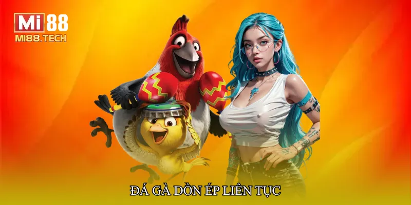 Đá gà dồn ép liên tục