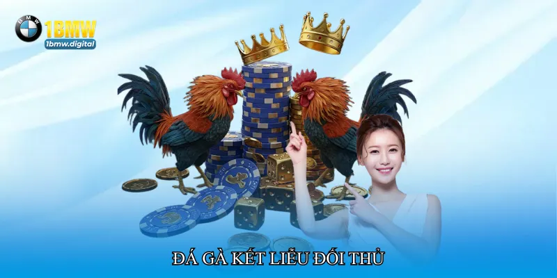 Đá gà kết liễu đối thủ