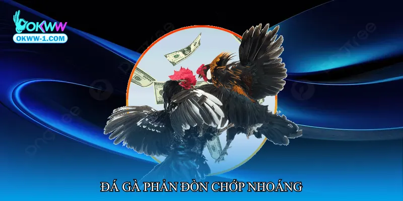 Đá gà phản đòn chớp nhoáng