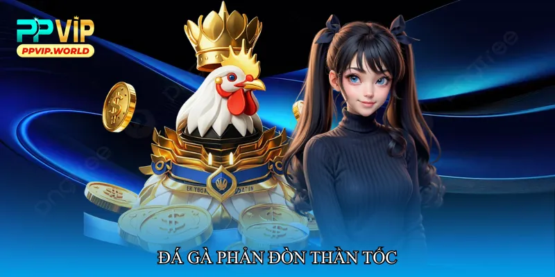 Đá gà phản đòn thần tốc