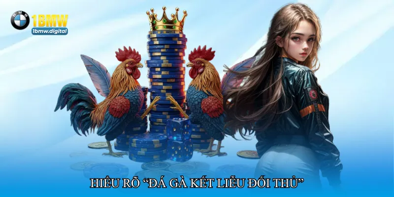 Hiểu rõ “Đá gà kết liễu đối thủ”