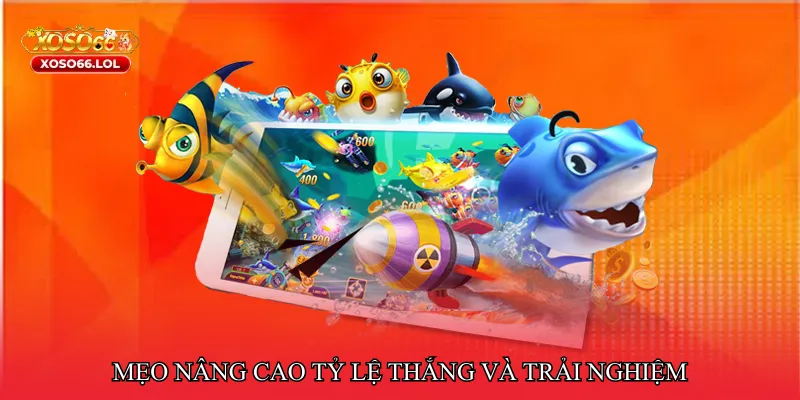 Mẹo nâng cao tỷ lệ thắng và trải nghiệm