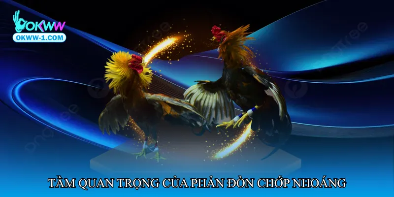 Tầm quan trọng của phản đòn chớp nhoáng