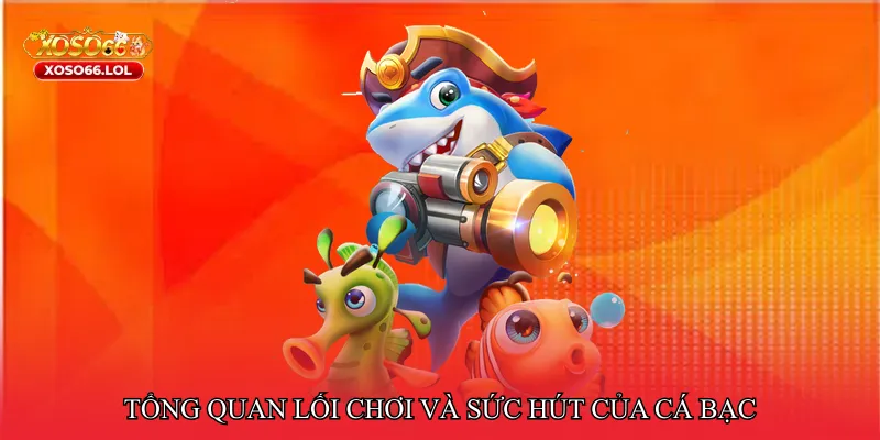Tổng quan lối chơi và sức hút của cá bạc